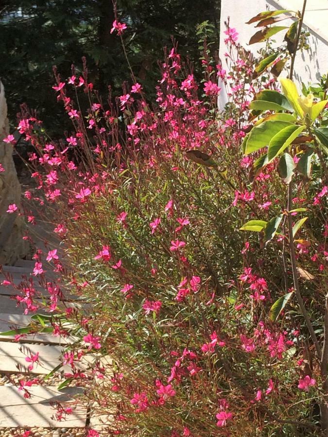 Lousoan Panzió Aix-en-Provence Kültér fotó