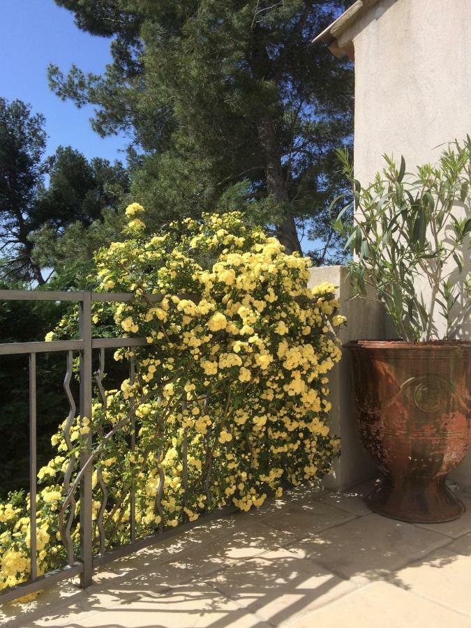 Lousoan Panzió Aix-en-Provence Kültér fotó